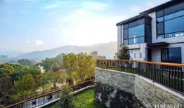 永泰新闻爆料最新消息,揭秘重大事件背后真相